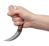 Nóż Karambit ze stali damasceńskiej TAKOMA N-955 Nóż Karambit ze stali damasceńskiej TAKOMA N-955